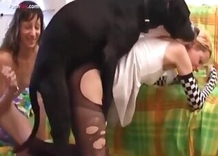 Sucking animal sex