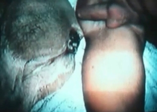 Tight hole of an animal is getting filled with cum