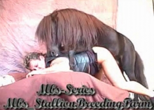 Pony fucks in the doggy style pose