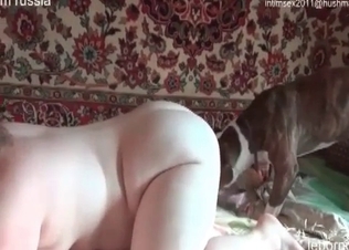 Spicy doggy is drilling a juicy tight snatch