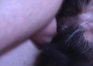 Small doggy is getting fucked by a massive boner