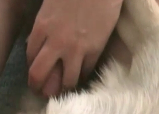 Young zoophile is enjoying dirty dog sex