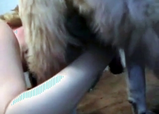 Gigantic dog in a brutal zoo 3some
