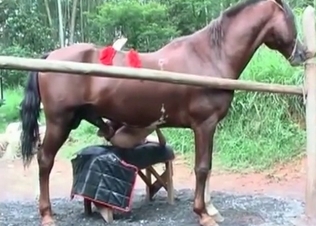 Black horse cums in her small twat