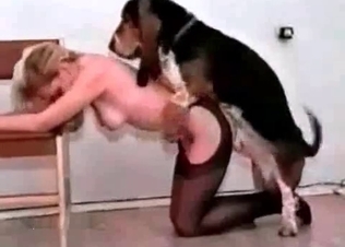 British Retriever fucks a blonde