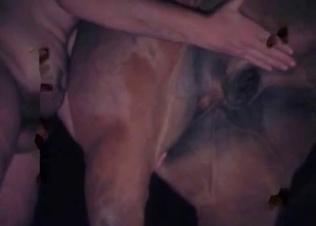 Anal exploration with a stallion