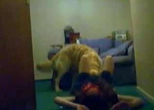 Trained doggy is enjoying filthy sex