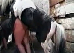Hot as hell zoophilic bestial sex