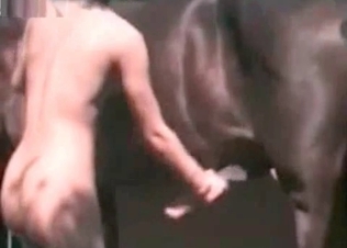 Big horse shoots a nice load