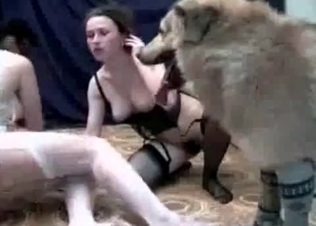 Hound and brunette in the bedroom