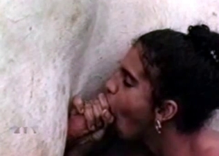 Mexican girl wanks a horse wiener