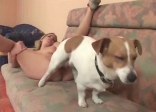 White dog pounds her small vagina