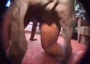 Awesome animal porn in the close-up