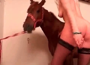 Filthy as fuck bestial action