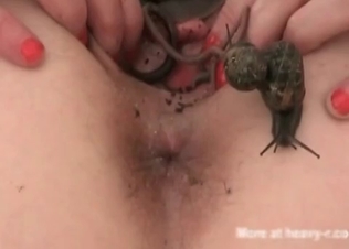 Nasty animality with the snakes