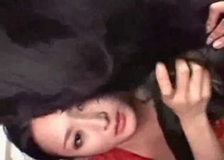 Japanese slut in red jerking dog's cock